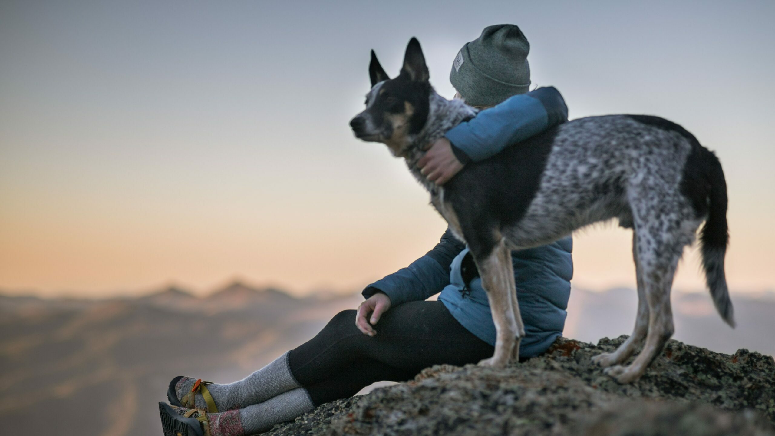 Photo d'illustration du module 1 de la saison 2 - Individu regardant l'horizon avec son chien